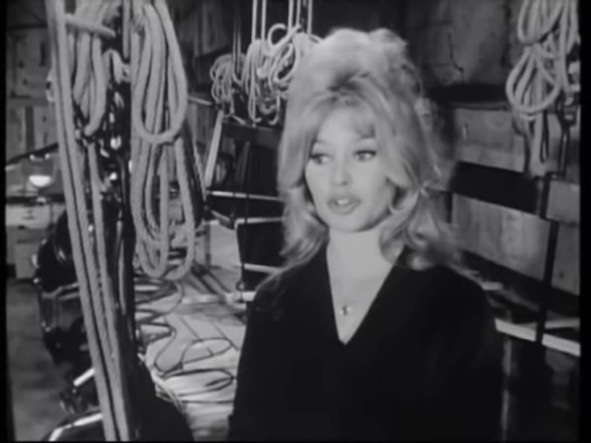 Brižit Bardo (9).jpg