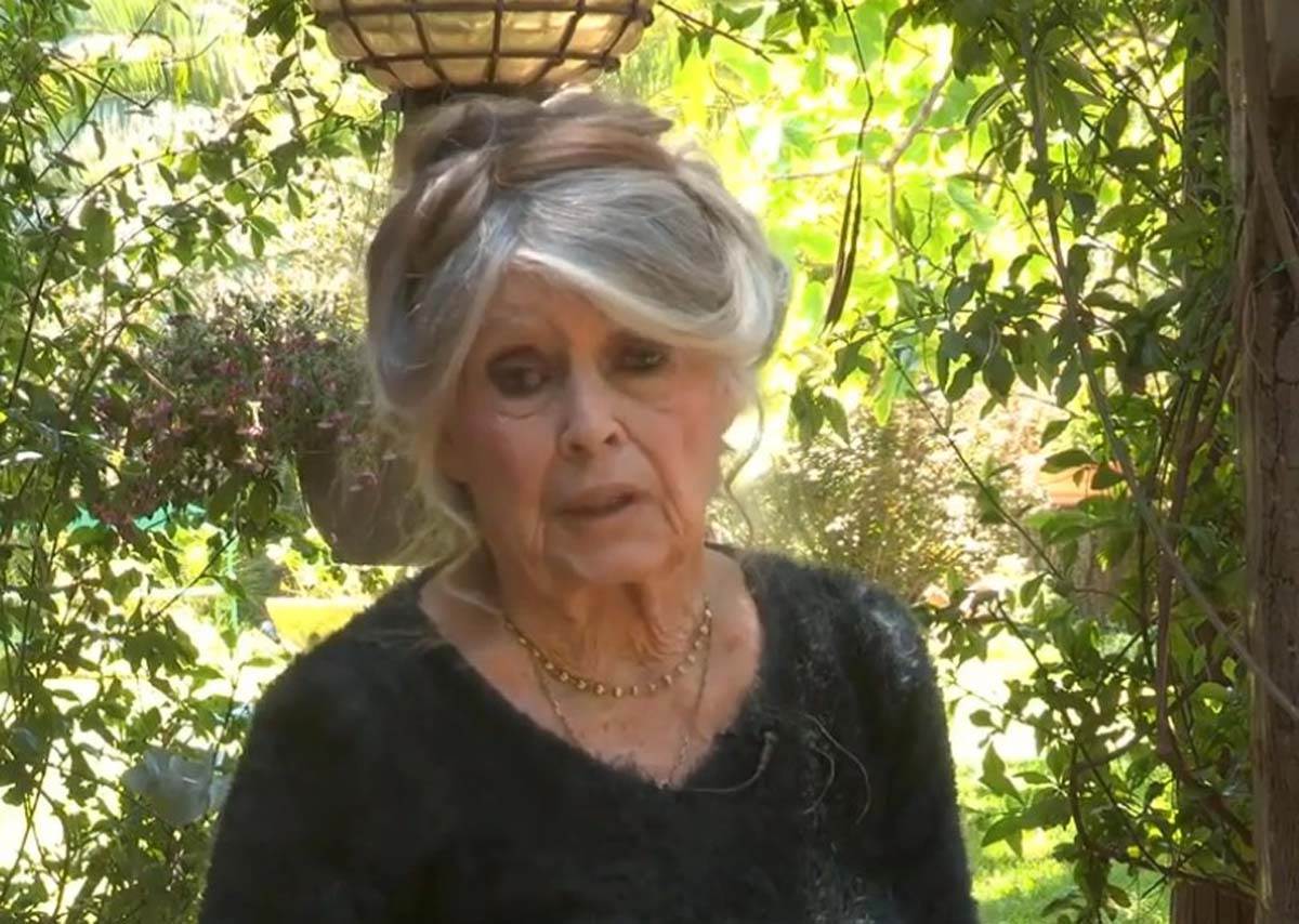 Brižit Bardo  (1).jpg