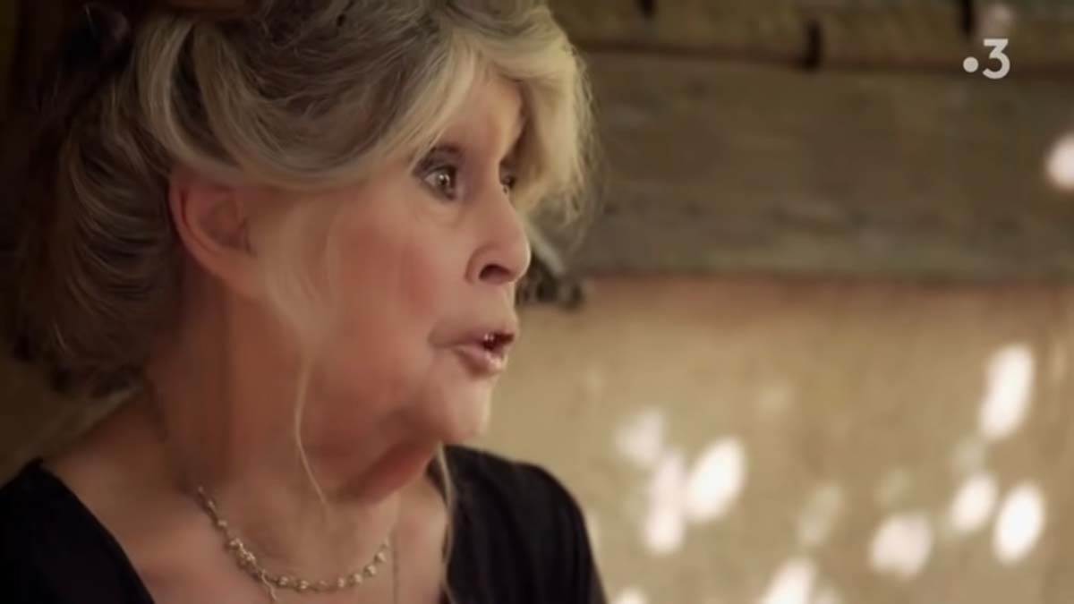 Brižit Bardo (5).jpg