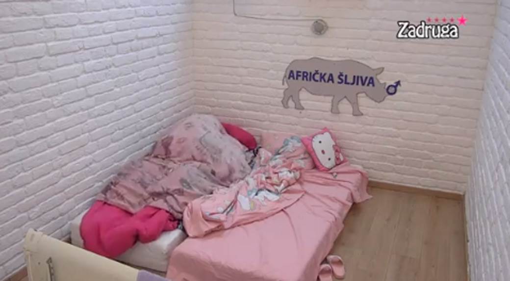 Vrela akcija Maje i Cara