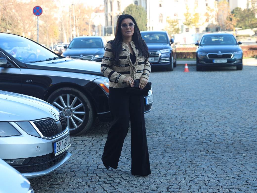 Dragana Mirković (2).jpeg