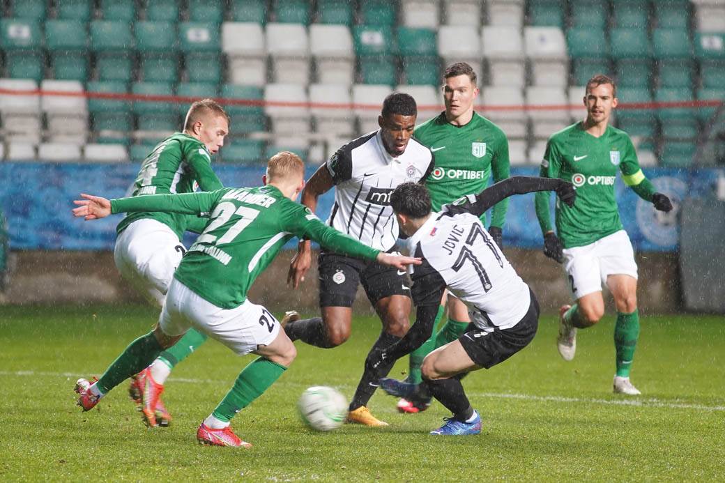 Partizan Flora 5.jpg