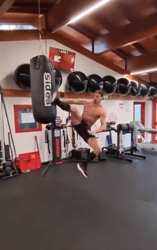 Zlatan Ibrahimović (3).png