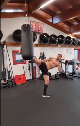 Zlatan Ibrahimović (6).png