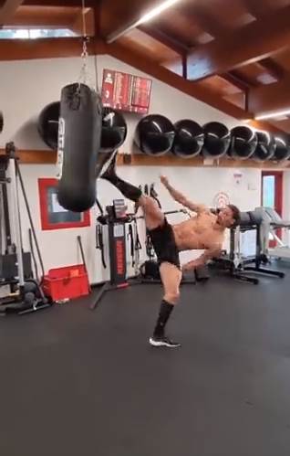 Zlatan Ibrahimović (7).png