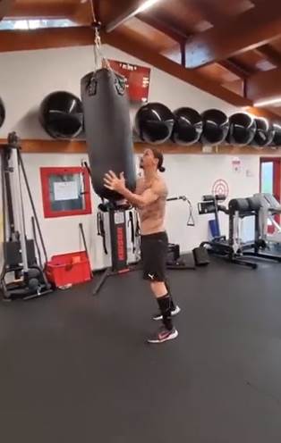 Zlatan Ibrahimović (1).png