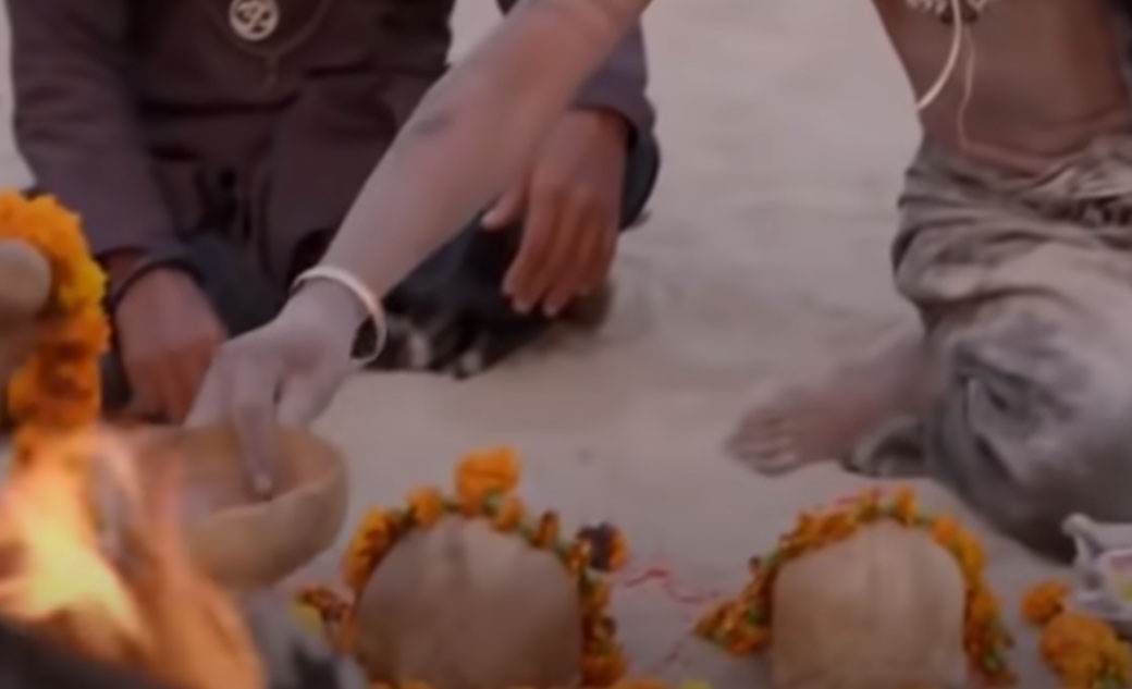 reporter i kanibal 1.jpg