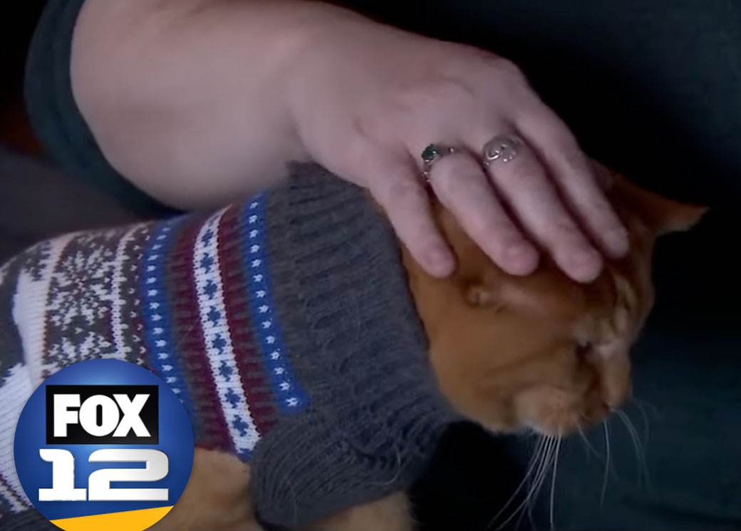 najstarija mačka na svetu 2.jpg