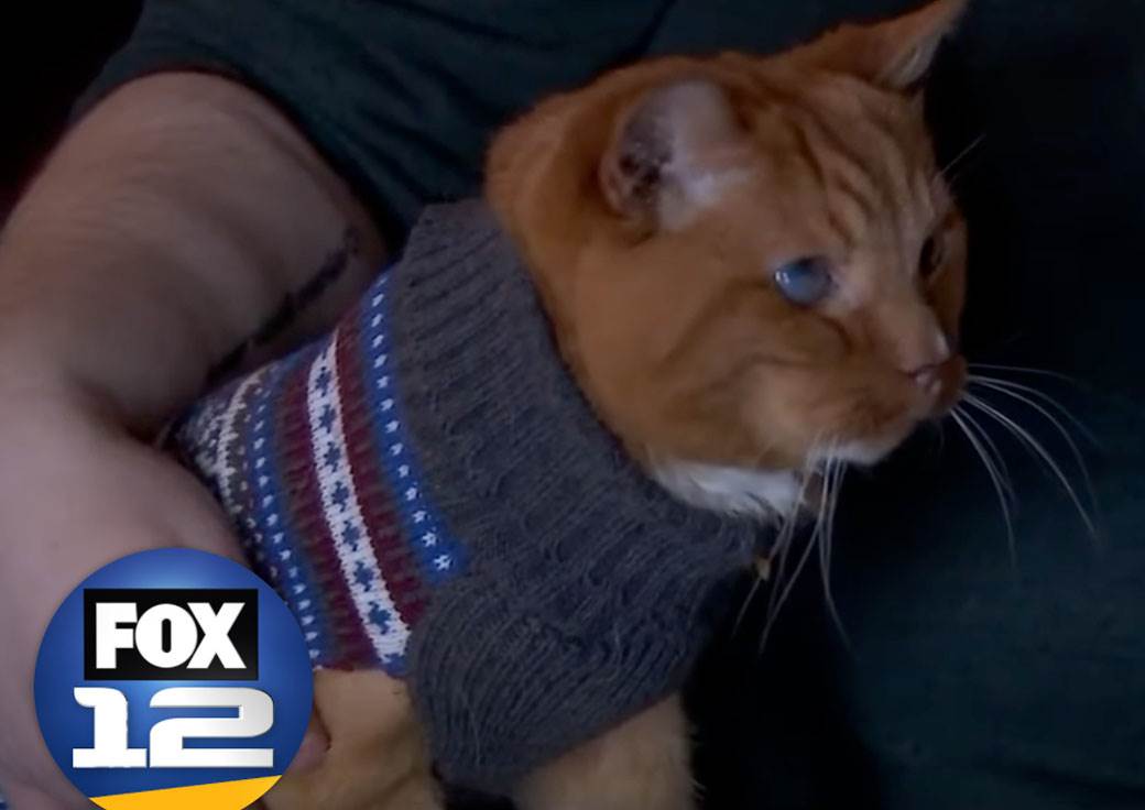 najstarija mačka na svetu 4.jpg