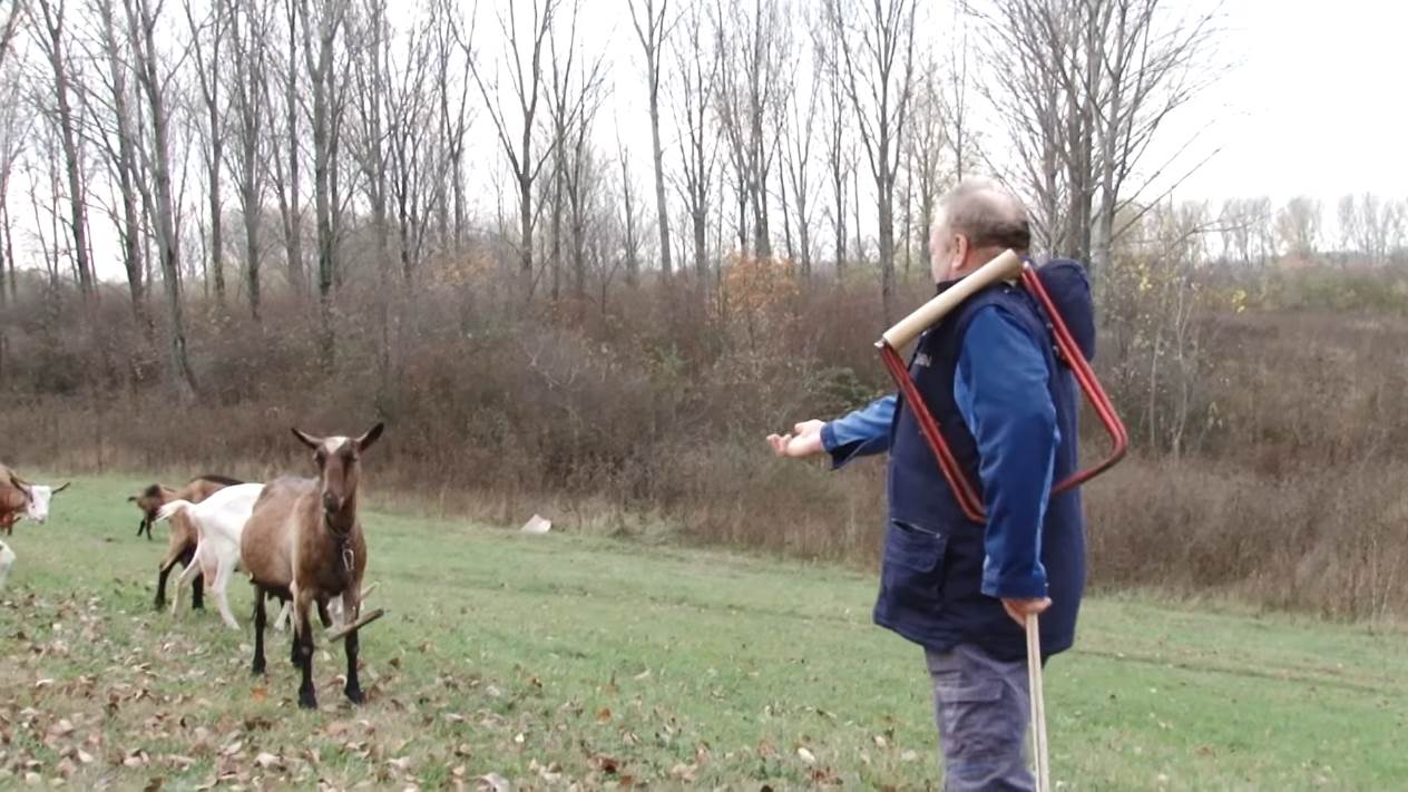 Najveće stado koza (6).png