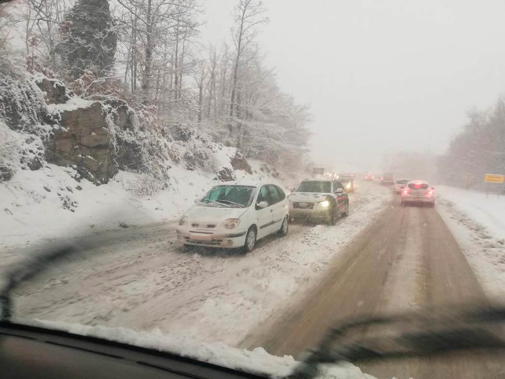 Zlatibor Kamioni (2).jpg