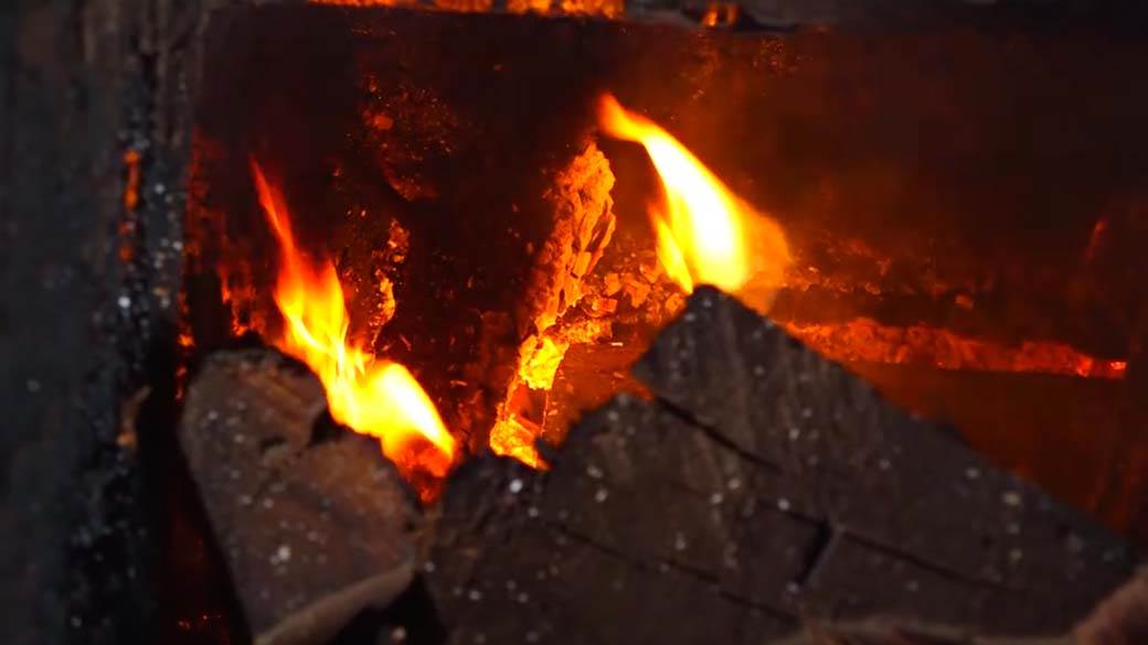 Aleksić sprema ogrev za zimu (3).jpg