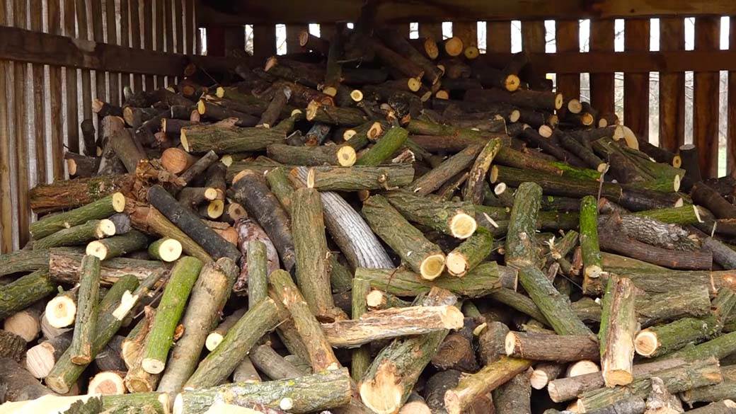 Aleksić sprema ogrev za zimu (4).jpg