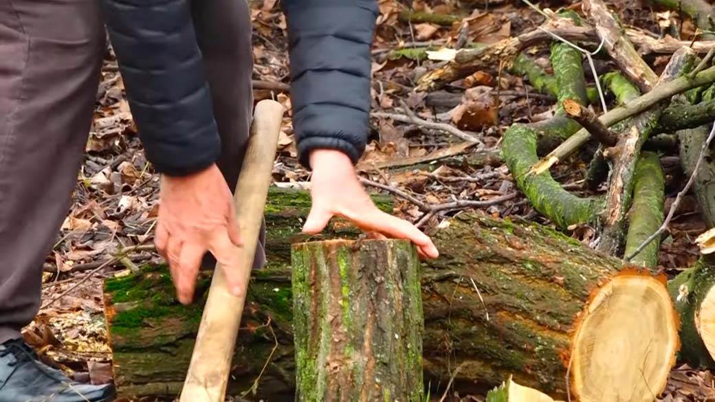 Aleksić sprema ogrev za zimu (7).jpg