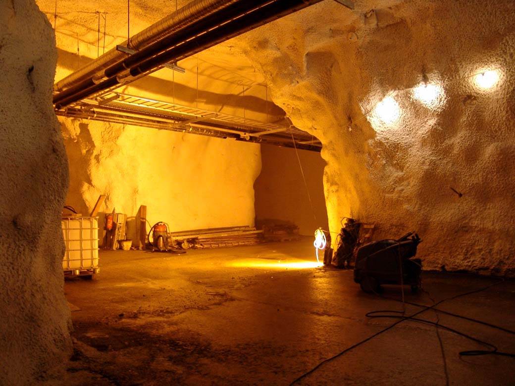 Svalbard noah (3).jpg