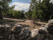 beo zoo vrt zoološki vrt fotografije