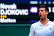 djokovic beretini uzivo prenos vimbldon finale