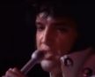 elvis2