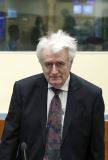 Radovan Karadžić