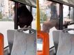 Iskakanje-iz-autobusa.jpg