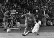 19930314npMiseljic2.jpg