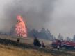 Zlatibor požar