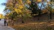 Kamenički park