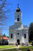 Brankovina (2).jpg