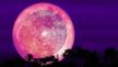 horoskop