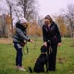 dunja kovac veterinar psi usvajanje zivotinja psi lutalice