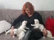 dunja kovac veterinar psi usvajanje zivotinja psi lutalice