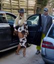 jelena karleusa zvezde granda foto