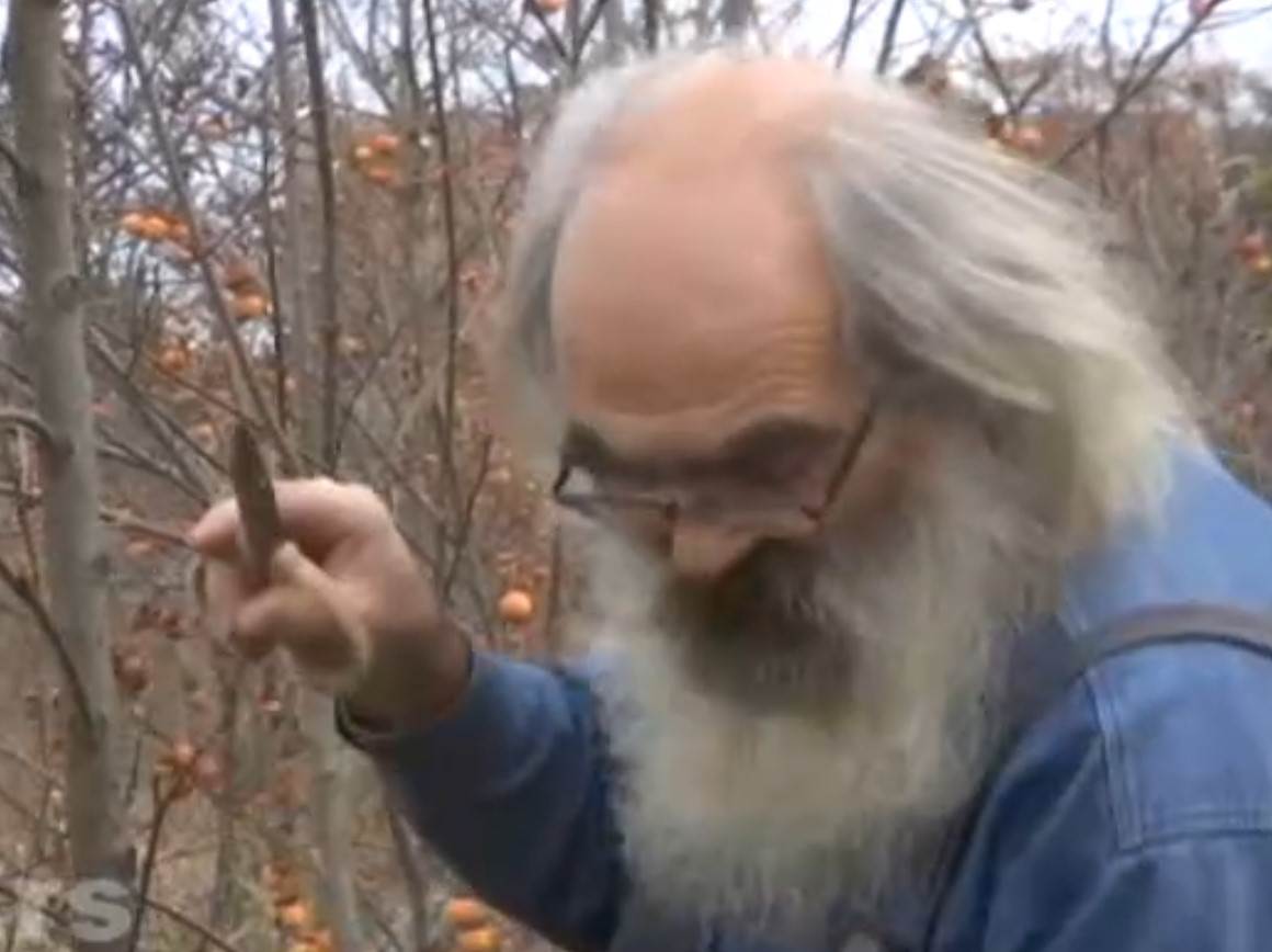 Simo Budimir jabuke 1.jpg