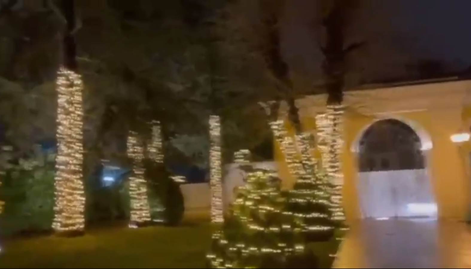 Bogoljub Karić, vila