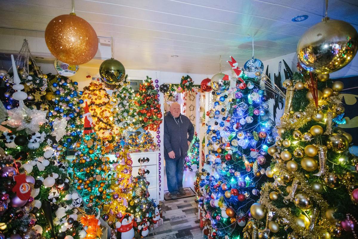 444 novogosišnjih jelki (2).jpg