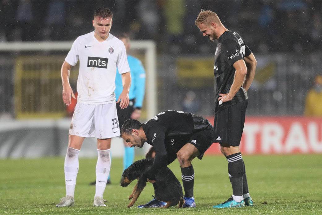 Pas prekinuo utakmicu Partizan Anortozis