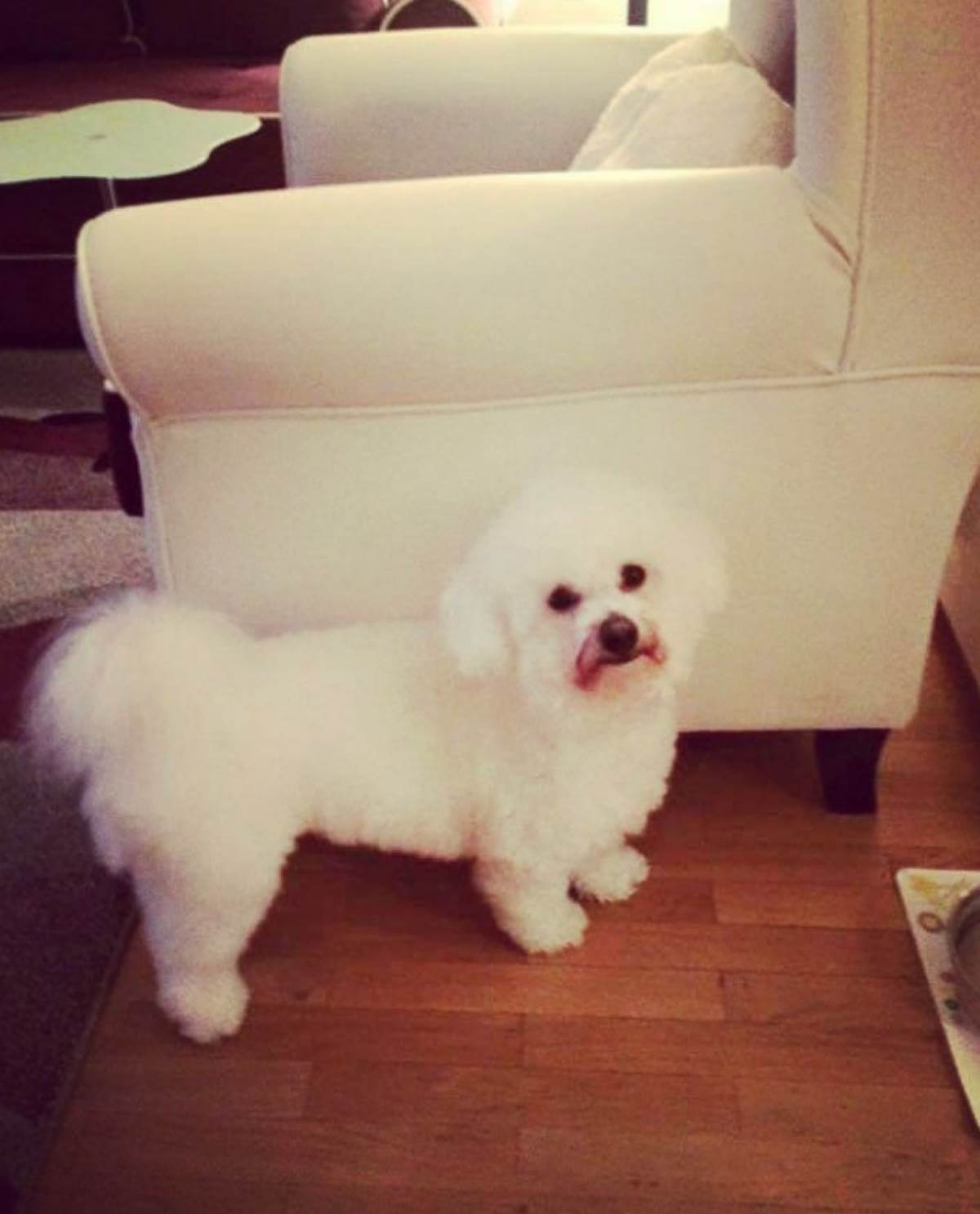 Screenshot from 2021-12-10 09-44-12.png