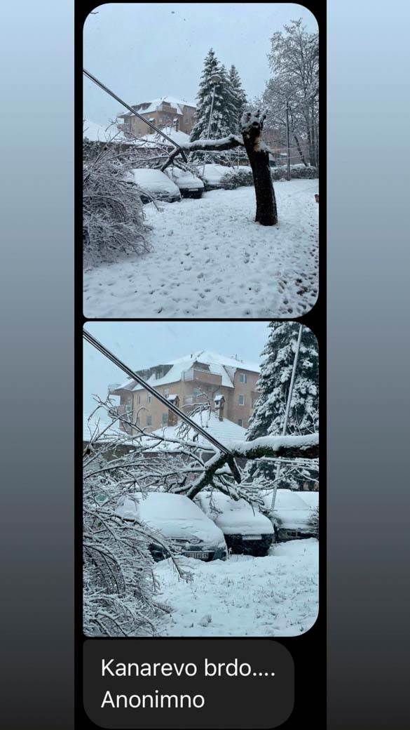 Beograd Nevreme mećava (3)_1.jpg