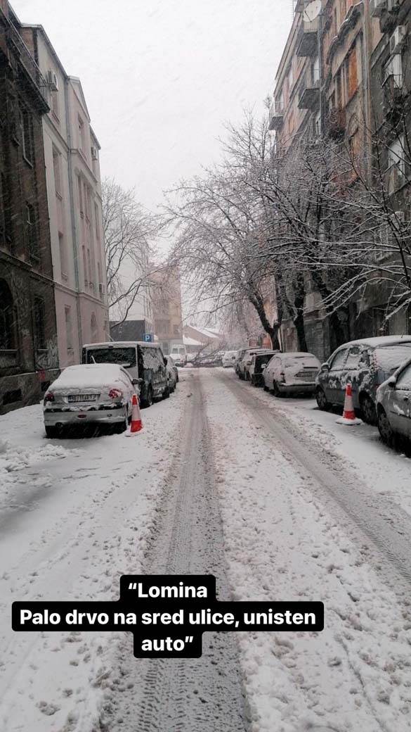 Beograd Nevreme mećava (8)_1.jpg