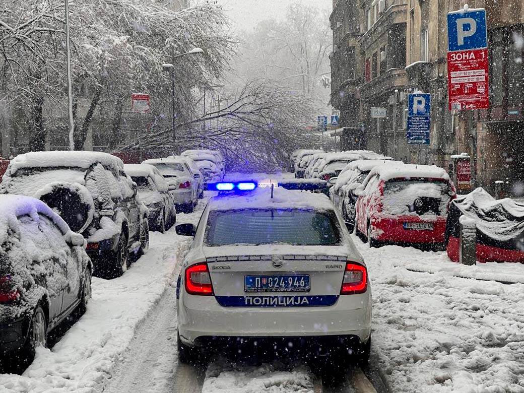 Palo drvo u Kosovskoj  (4).jpg