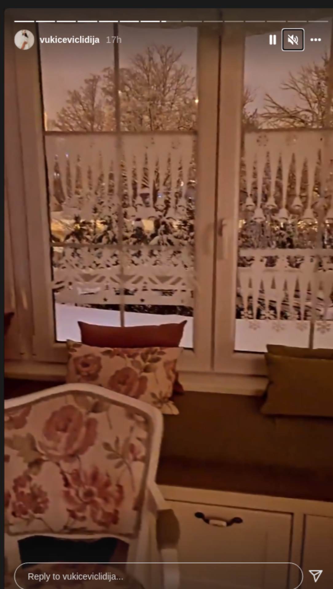 Lidija Vukićević o karijeri