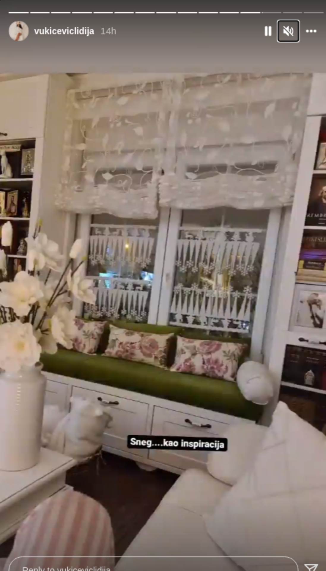 Lidija Vukićević o karijeri