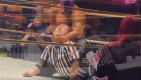 Hanibal povredio sudiju (4).png