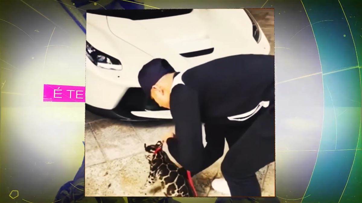 Faiq Jefri Bolkiah (3).jpg