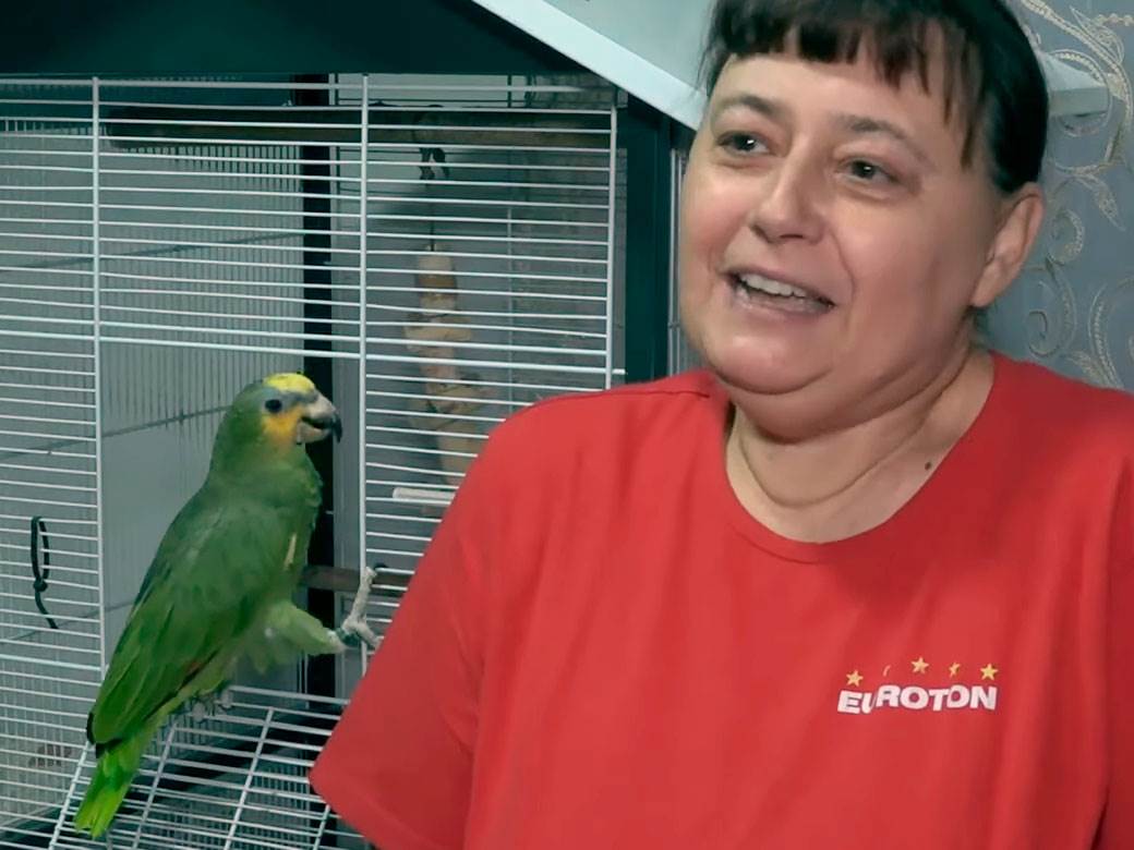 Dragoslav gaji papagaje a evo šta mu kažu svakog jutra