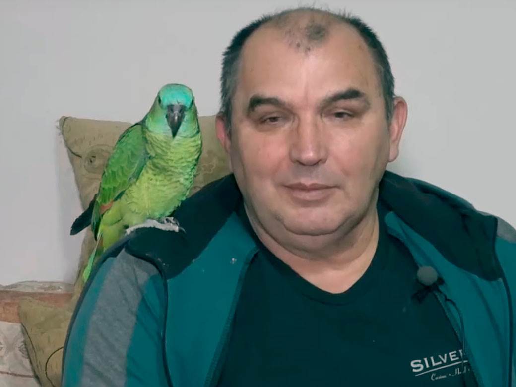 Dragoslav gaji papagaje a evo šta mu kažu svakog jutra