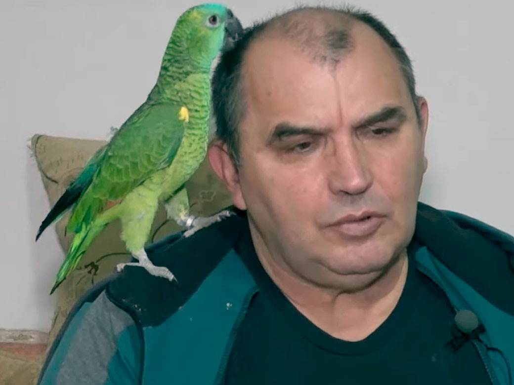 Dragoslav gaji papagaje a evo šta mu kažu svakog jutra