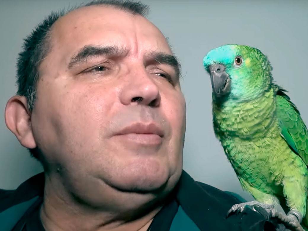 Dragoslav gaji papagaje a evo šta mu kažu svakog jutra