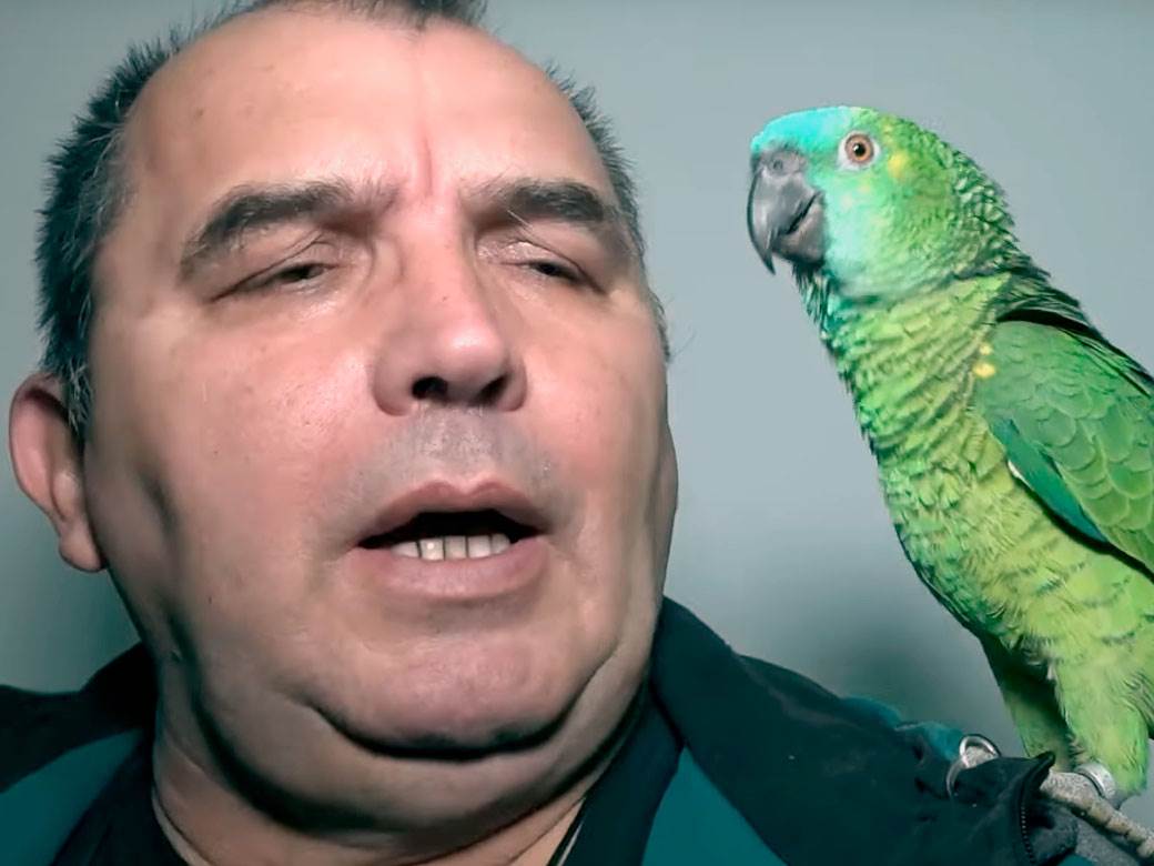Dragoslav gaji papagaje a evo šta mu kažu svakog jutra