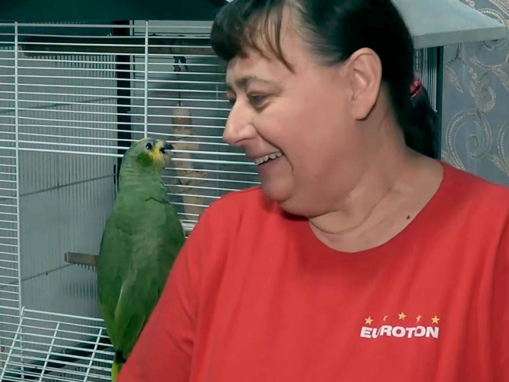 Papagaji koji govore zaječar 11.jpg